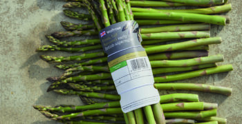 The next British Asparagus Conference will take place on June 26th 2024